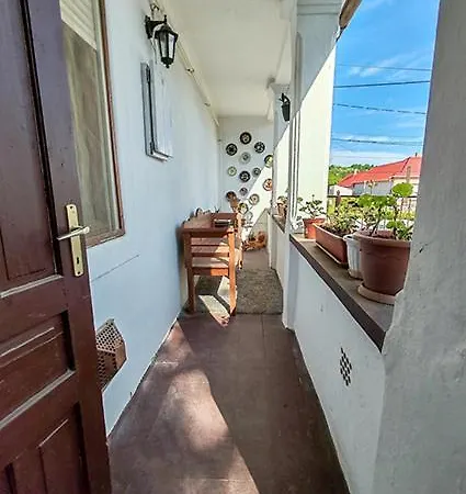 Diofa Vendeghaz *