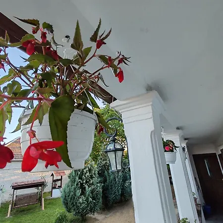 Diofa Vendeghaz 公寓 *