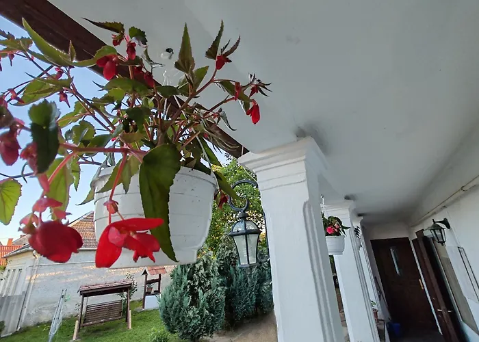Diofa Vendeghaz Apartament *